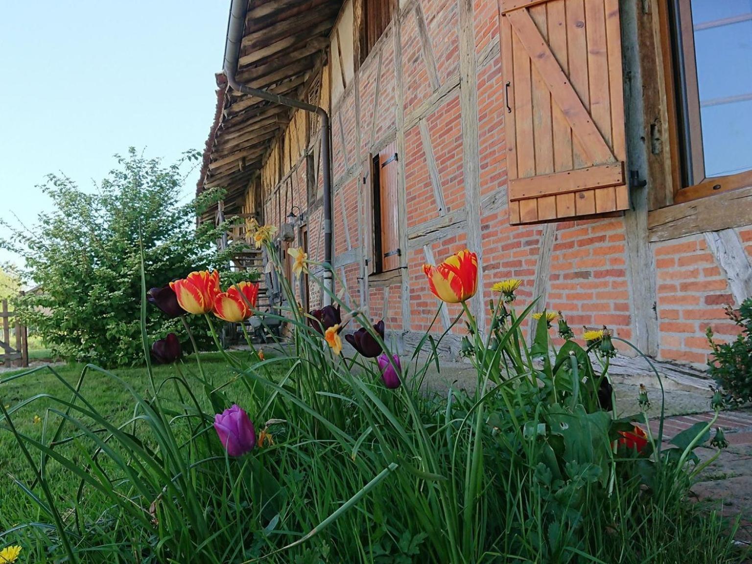 A La Poularde B&B Curciat-Dongalon Exterior photo